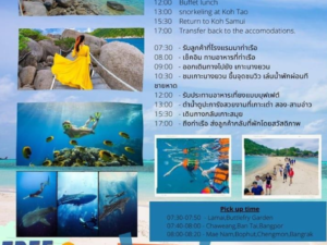 koh tan koh nangyuan island tour with lunch by speed boat (kayaking, snorkeling & sight seeing trip) (sic)