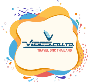 vibes logo