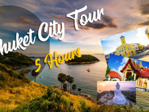 noorin gold ring watch